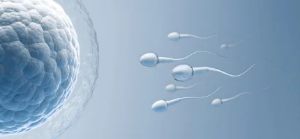 Egg freezing myths debunked - fertility preservation guidance by Dr. Prithivi Perum, Manikonda, Hyderabad